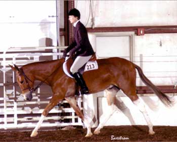 Lori Montgomery and Banjo's BootScootnBoogie