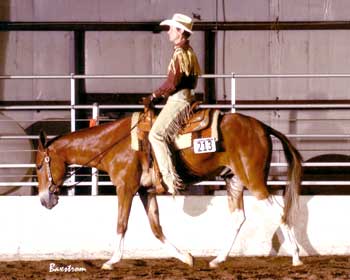 Lori Montgomery and Banjo's BootScootnBoogie