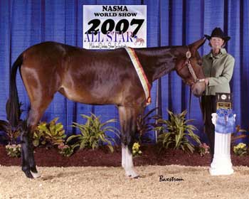 Banjo's Bobbie Sox and Vicki Upton