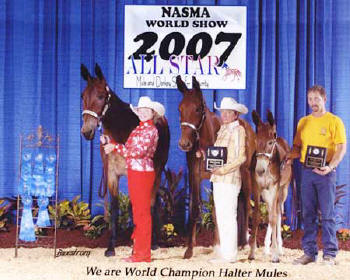 Committeeman Curtis, Banjo's Mr High Sock and Texas Harley