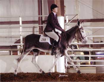 Howdy Doody and Lori Montgomery owned by Jimmy Beane