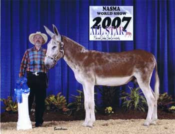 Champion Jack - LVF's Rhythm Nation