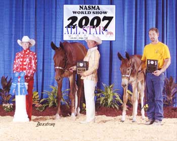 Banjo's Mr High Sock and Texas Harley shown with Hunter Marie, Dale Ann and David Gramman