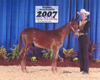 Scooter's Spitn Image and Debbie Brewer