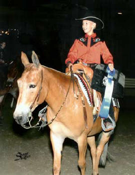 Tristan Fowler riding Arco Celebration owned by Rori Travis winning the 13 & under mulemanship