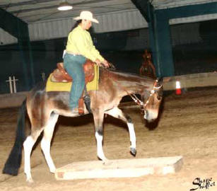 THESEBOOTSWEREMADE4LOPIN' doing Jr Trail, with 27 rides
