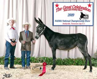 Karl Schneider, owner, Jay Jaxtheimer and High Point Farm's Ida Clair