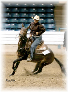 Pacos Bill and Cindi Slemp at the NASMA National Show