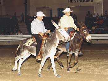 Howdy Doody and Brat winning the first annual pantyhose race at Shelbyville in 2007.