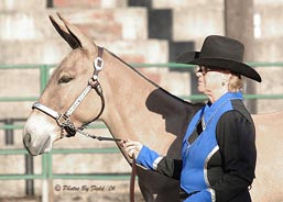 Joyce Stratton & Dewey