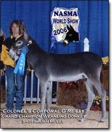 Mel Wilson and Radar