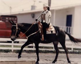 Sue and Zorro