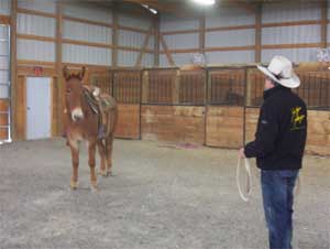 Tim has asked Eugene to turn and face him before progressing to the "Come to You" cue. 