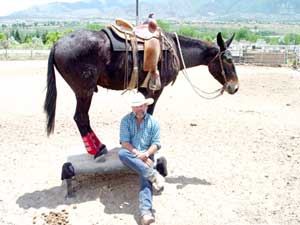 Tim Doud and his mule at a John Lyon�s seminars in Colorado this summer.