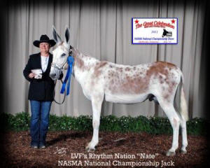 2012 Leading Jack