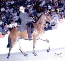 Locust Creek Mules