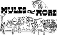 Mules and More Magazine