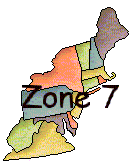 Zone 7
