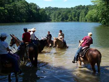 Ears to Janie Ride