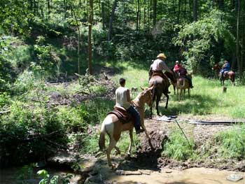 Ears to Janie Ride