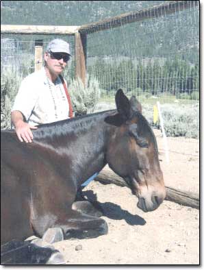 Bob & Othello