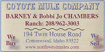 Coyote Mule Company