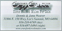 Crawford Creek Mules