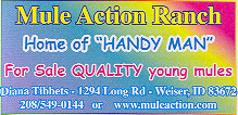 Mule Action Ranch