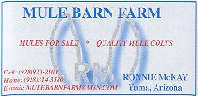 Mule Barn Farm