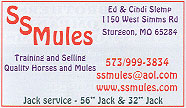 SS Mules