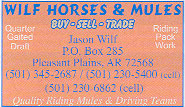 Wilf Horses & Mules