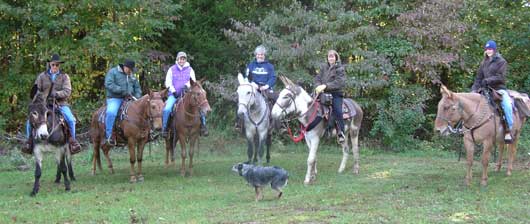 Start of one of the rides