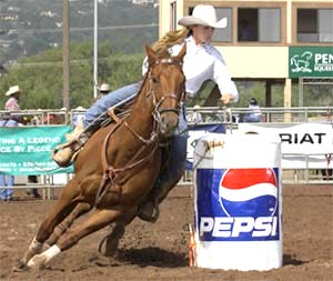 Barrel Horse