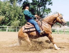 Reining Horse