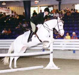 Mule Jumping - Lori Montgomery & Fancy