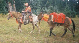 Elk Hunting in Colorado