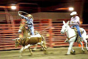 Team Roping - Mules