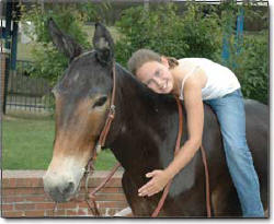 Kaeli Jones and Mi Amigo Pedro