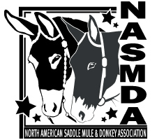 NASMDA Logo