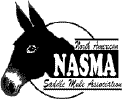 NASMA Logo